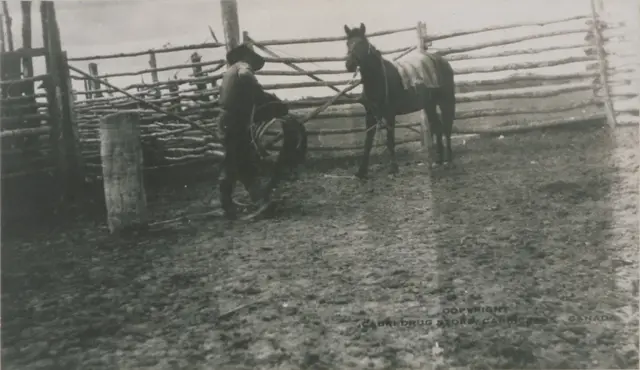 Emery Le Grandeur saddling a horse in a corral